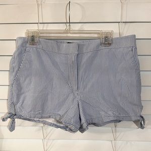 Loft Shorts